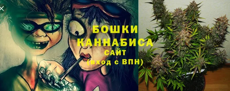 Бошки марихуана Bruce Banner  Венёв 